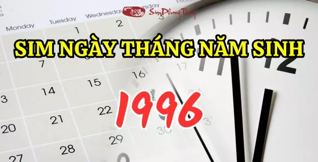 sim năm sinh 1996