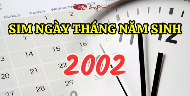 sim năm sinh 2002