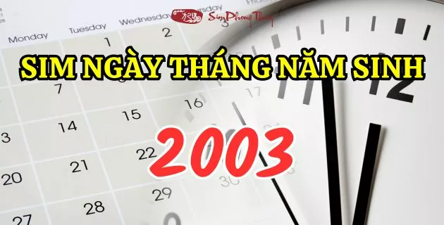 sim năm sinh 2003