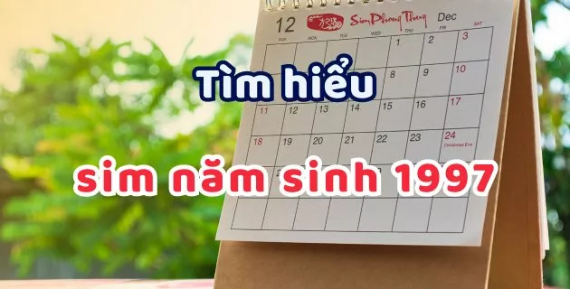sim năm sinh 1997