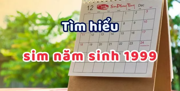 Sim năm sinh 1999