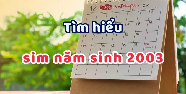 sim năm sinh 2003