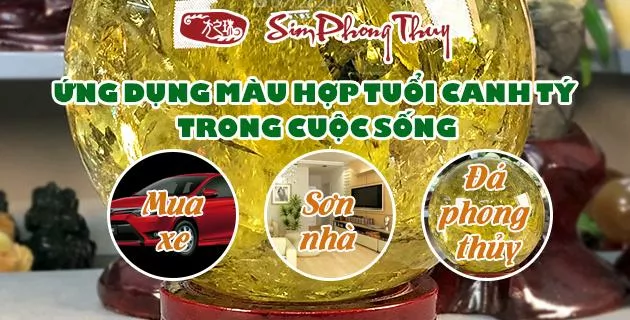 màu hợp tuổi 1960