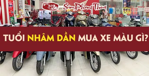 màu hợp tuổi 1962