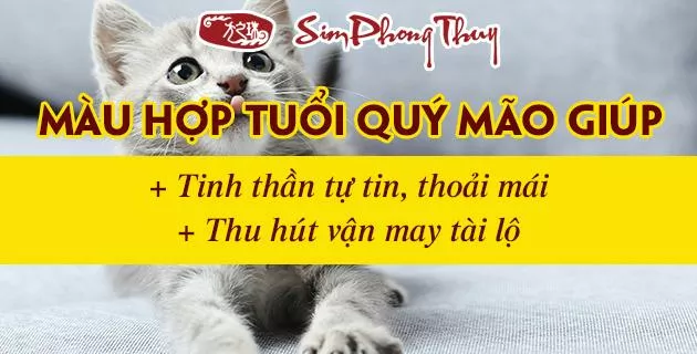 màu hợp tuổi 1963