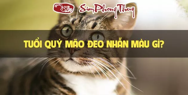 màu hợp tuổi 1963