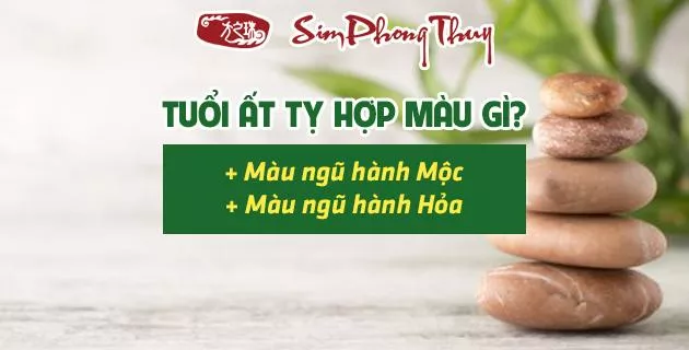 màu hợp tuổi 1965