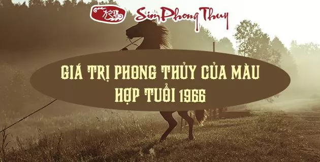 màu hợp tuổi 1966
