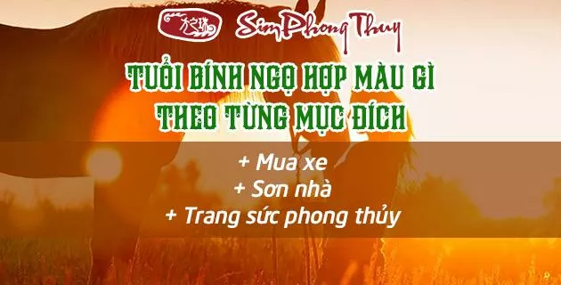 màu hợp tuổi 1966