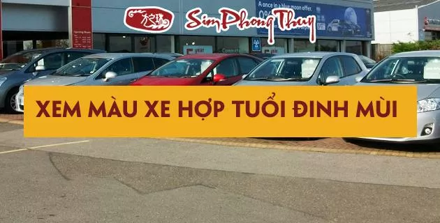 màu hợp tuổi 1967