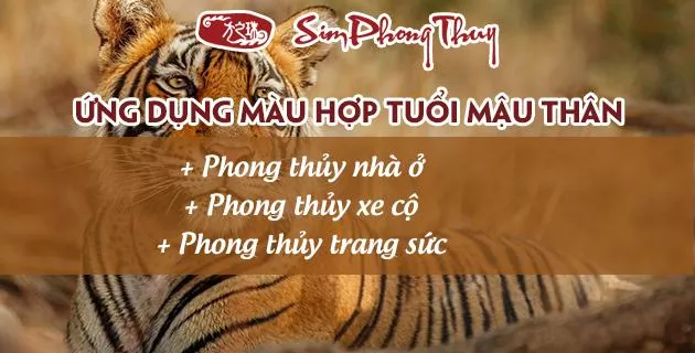 màu hợp tuổi 1968