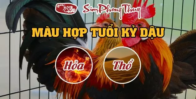 màu hợp tuổi 1969