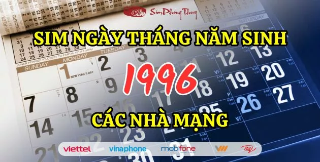 sim năm sinh 1996