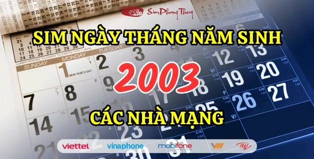 sim năm sinh 2003
