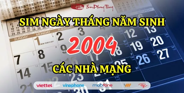 sim năm sinh 2004