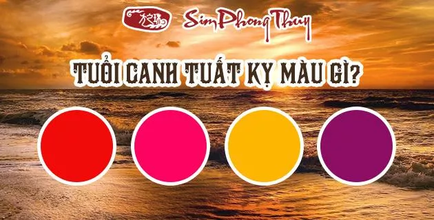 màu hợp tuổi 1970