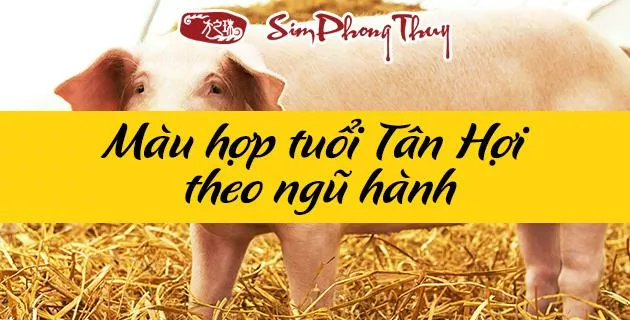 màu hợp tuổi 1971