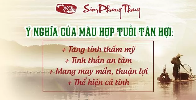 màu hợp tuổi 1971