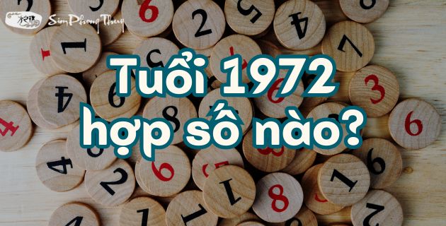[Hỏi - đáp] Tuổi Nhâm Tý 1972 hợp số nào? Khắc số nào? #Chính xác