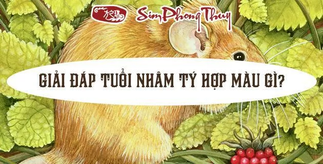 màu hợp tuổi 1972