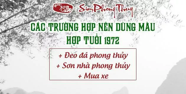 màu hợp tuổi 1972
