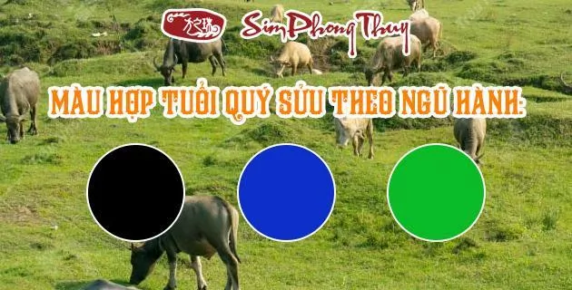 màu hợp tuổi 1973