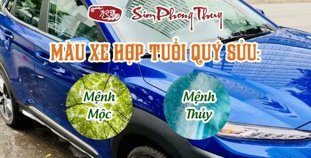 màu hợp tuổi 1973