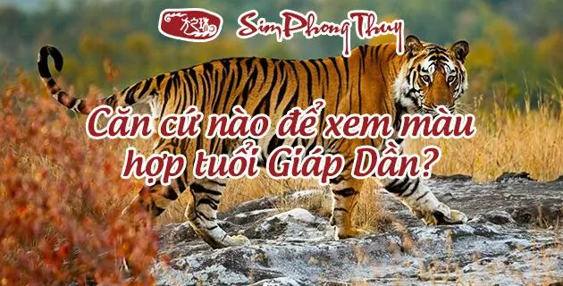 màu hợp tuổi 1974