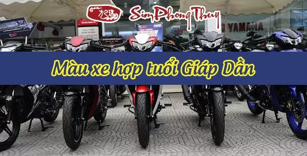 màu hợp tuổi 1974