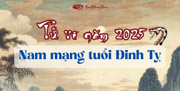 tử vi tuổi đinh tỵ nam mạng năm 2025