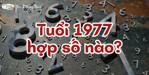 Tuổi Đinh Tỵ 1977 hợp số nào Khai mở vận may tài lộc?