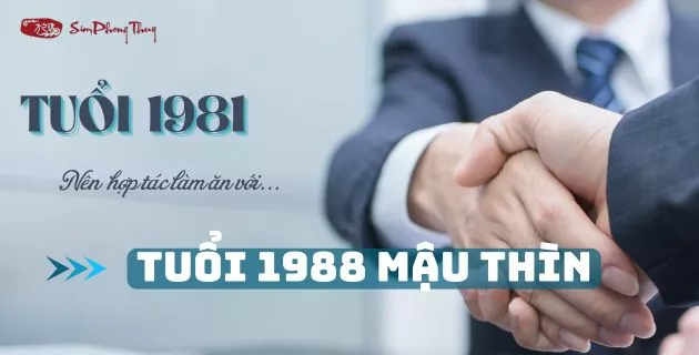 tử vi tuổi tân dậu nam mạng năm 2025