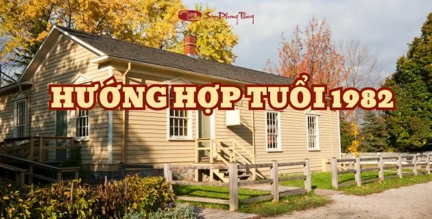 hướng hợp tuổi 1982