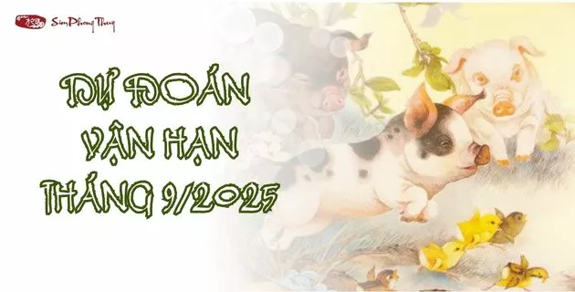 tử vi quý hợi 2025 nữ mạng theo tháng