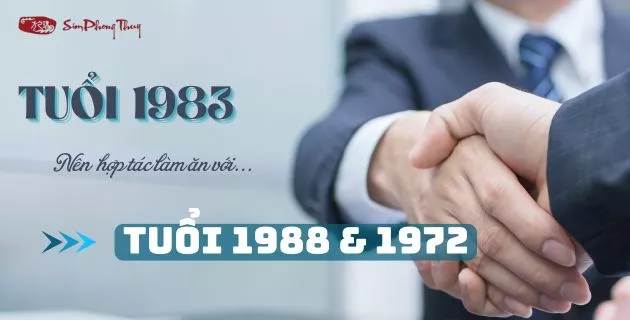 tử vi tuổi quý hợi nữ mạng năm 2025