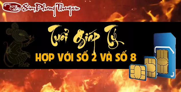 1984 hợp số nào