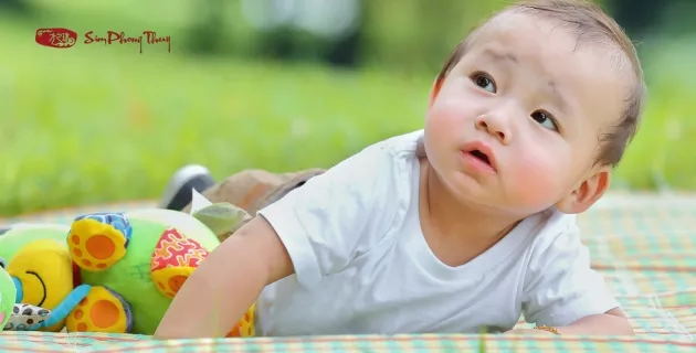 1984 sinh con năm nào hợp