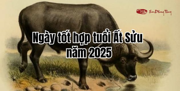 Ngày Tốt Cho Tuổi Ất Sửu Năm 2025: Mua Xe, Khai Trương Đại Cát Đại Lợi