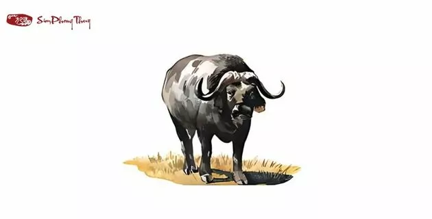 tử vi tuổi ất sửu nam mạng năm 2025