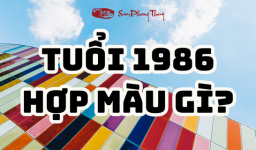 Bính Dần mệnh gì? Nam/ Nữ tuổi Dần 1986 hợp màu gì năm 2025?