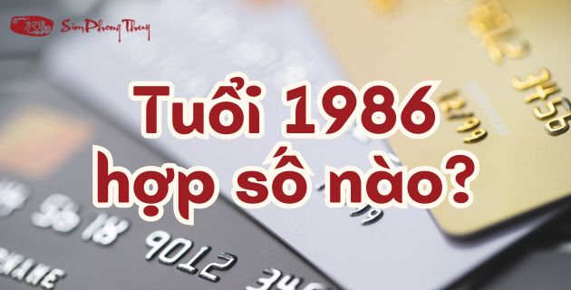 Bính Dần 1986 hợp số nào? Luận phong thủy số hợp mệnh Hỏa 1986