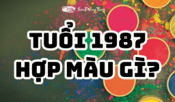 Nam nữ tuổi Mão 1987 hợp màu gì năm 2025 kích Tài Lộc, May Mắn