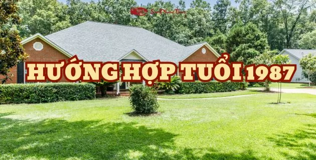 màu hợp tuổi 1987