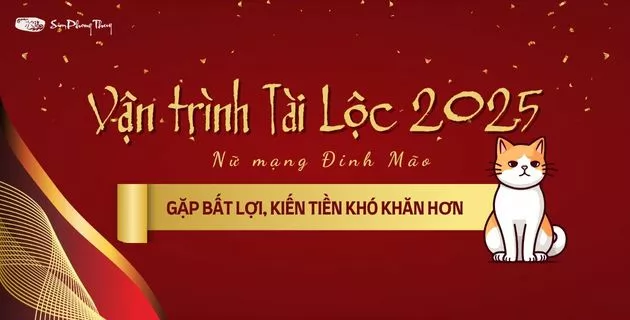 tử vi tuổi đinh mão nữ mạng năm 2025