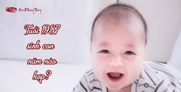 1987 sinh con năm nào hợp 