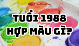 #1988 mệnh gì hợp màu gì? Chọn màu sơn nhà, màu xe,.. hợp tuổi
