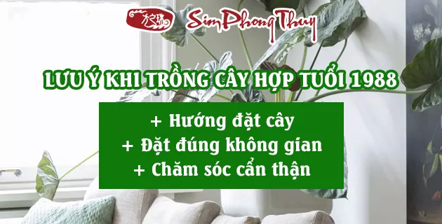 cay hop tuoi 1988-2