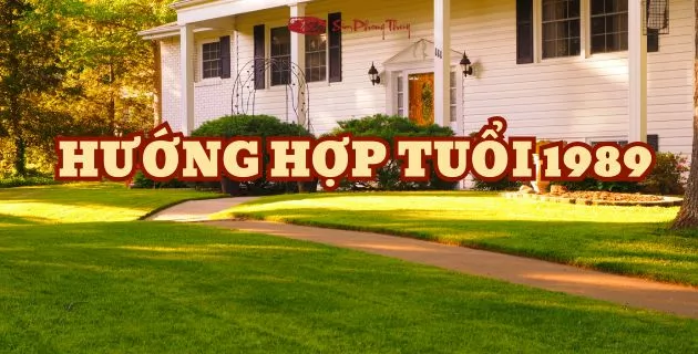 màu hợp tuổi 1989