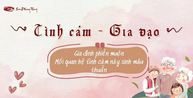 tử vi tuổi kỷ tỵ năm 2025 nam mạng