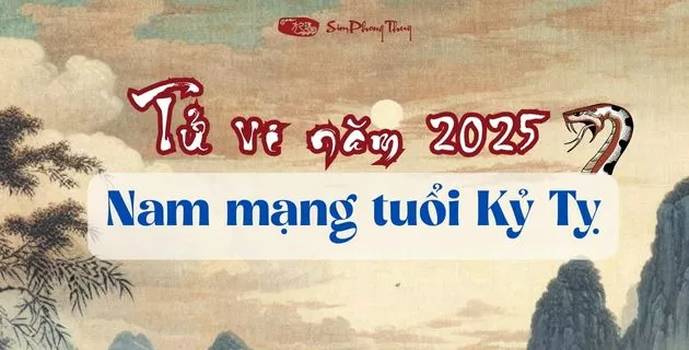 tử vi tuổi kỷ tỵ nam mạng năm 2025